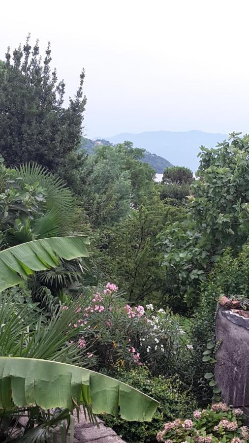 Appartamenti Raineri Domaso Esterno foto