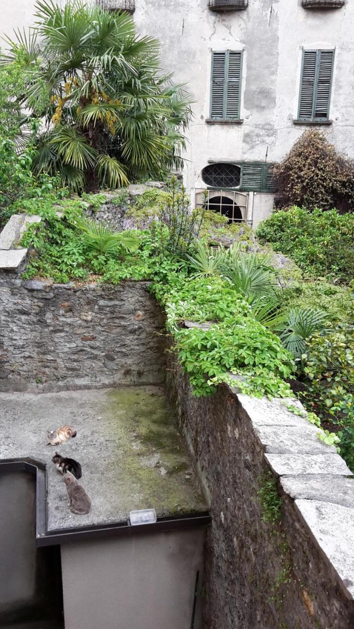 Appartamenti Raineri Domaso Esterno foto